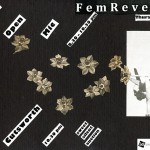 FemRev Parties